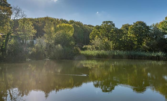Mill Pool